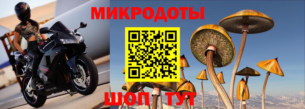 Старая Купавна  Псилоцибиновые грибы Psilocybine cubensis  Вход с VPN 